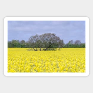 English summer landscape Sticker